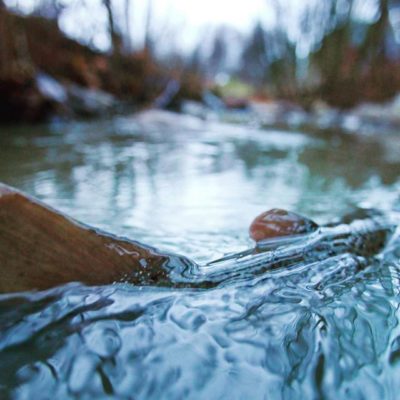 taimen-trout-spawning-longinoja-vaelluskala-fish-fisk-oring-havsoring-salmotrutta-meritaimen-baltics