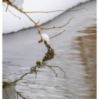 longinoja-vesi-water-lumi-snow-nature-naturephoto-naturephotos-naturephotography-canonphotography-ca-1
