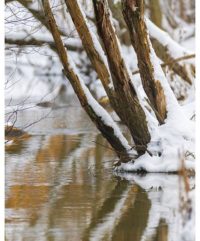 longinoja-vesi-water-lumi-snow-nature-naturephoto-naturephotos-naturephotography-canonphotography-ca