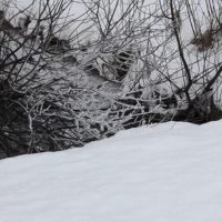 frozen-longinojatalvella-longinoja-winter-talvi-luntatulvillaan-snow-sno-jaassa-kuuraa