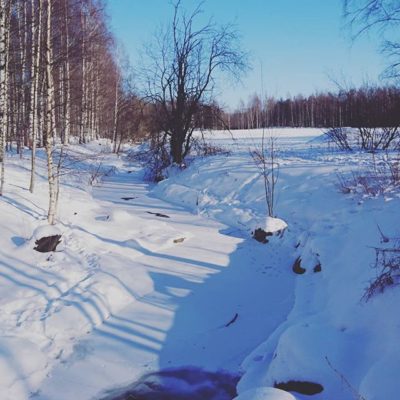 Lähiluonto talvisessa maisemassa  Ei ihan ole koko puro jäässä - onneksi! Lapsilla oli hauskaa kun saivat istua pulkassa. Kylmää oli kun -14°c pakkasta ja tuuli kovasti naamalle. Onneksi oltiin pukeuduttu lämpimästi!!