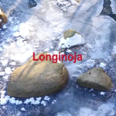 seuranta alkoi jälleen. Seuraa kanssamme kevään saapumista. Käytä kuvapostauksissasi ja olet mukana. Kaikki kuvat www.longinoja.fi @helsinkikymp