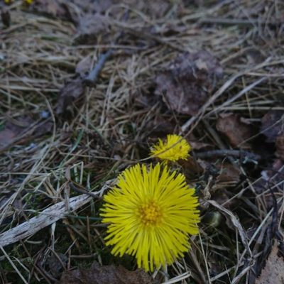 Kevät! Luonto herää. Talvi on selätetty, on uudelleen syntymisen aika.