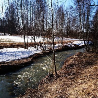 Meidän lähitienoon puro Longinoja virtaa taas kevään ääniä. Piisami uiskenteli vaan enpä minä sitä kuvaan saanut. Muutamat sinisorsatkin uinuivat ilman huolen häivää.