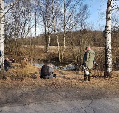 Värikäs keräsi katsojia varteen.