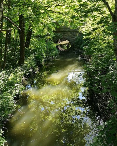 Longinojan kesä.