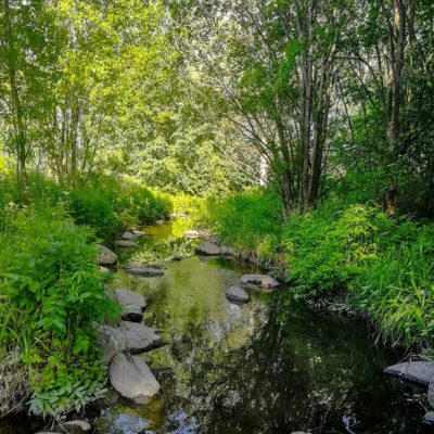 longinoja-longinojankesa-joki-puro-creek-stream-urbannature-urbannaturelovers-reflection-alamalmi-ma