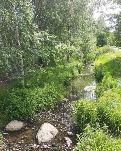 longinoja-parhaimmillaan-vehreaa-green-nature-smallnaturalbrook