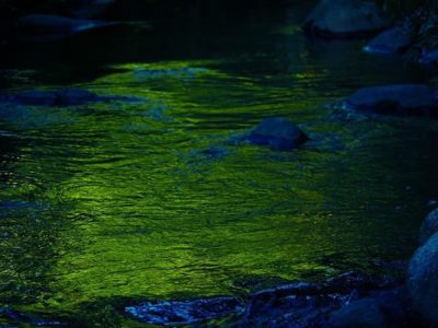 Ilta-auringon säteet ja ympäröivä luonto värjäävät puron välillä satumaiseksi.