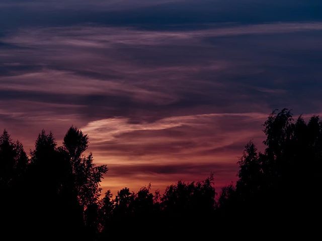 night-sky-heaven-evening-finnishnature-finland-forest-helsinki-myhelsinki-moment-love-luonto-luontok