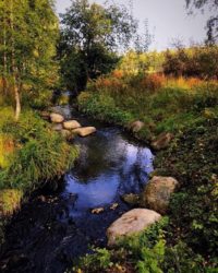 longinoja-helsinki-finland-syksy-autumn