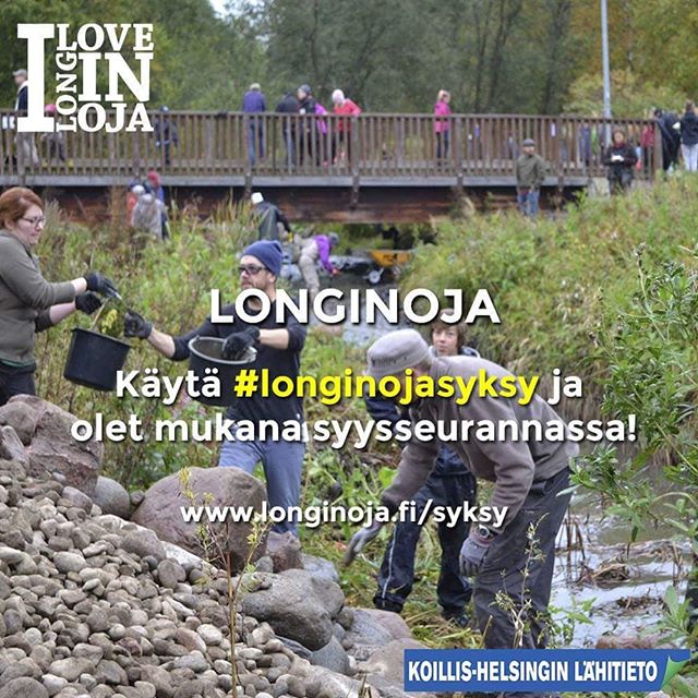 Perinteiset purotalkoot lähestyy. Kaikki olennainen info su 23.9. talkoisiin www.longinoja.fi/talkoot osoitteesta. ja olet mukana myös syysseurannassa. Outo