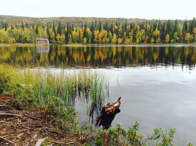 ruska-lapland-ilovelapland-nature-beautiful-amazing-tauonpaikka-nestlesuomi-weekend-longinojasyksy