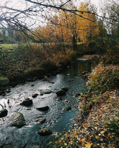 finnishnature-finland-helsinki-findbeautyineverything-beautyiseverywhere-nature-outdoor-dike-longino