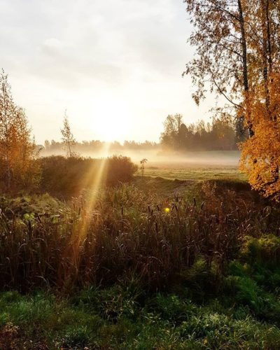 Lauantaiaamun luontokuvia..