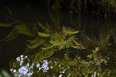 Ylösalaisin vai oikeinpäin. Aistien harhaa vai todellisuutta. Siinä miettimisen pulmaa.