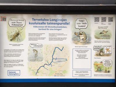 Aivan mahtava #Longinoja:n uusi #luontopolku. Kutukaloja jotenkin ehkä vielä viikon ajan. Liian kylmä ja välillä turhankin alhaalla käynyt vesi rauhoitti kutijoita. Josko pieni sade vaihteeksi aktivoisi viimeisiä kutemattomia #taimen:ia. #kaupunkiluonto. @longinoja