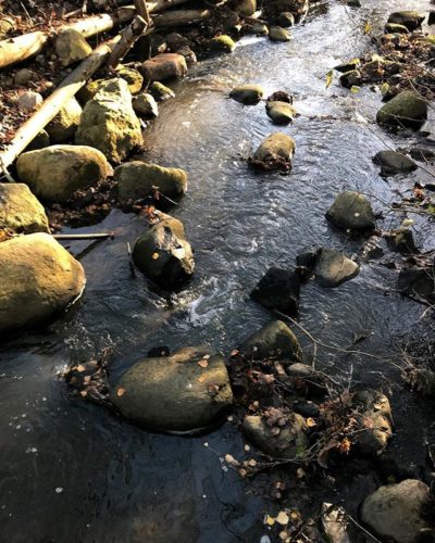 Longinoja trout stream 1/2