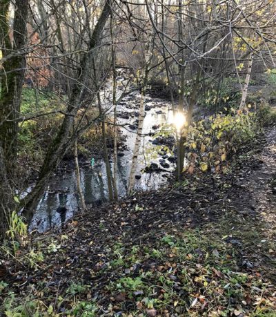 Longinoja trout stream 2/2