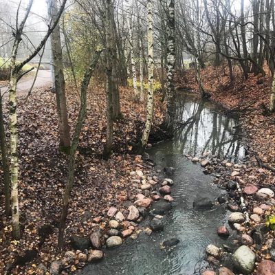 Malminseudun luontokohteet ovat vähissä, mutta yksi on, ja se on hieno, oma taimenpuromme Longinoja. - Today I participated a walk at rivulet Longinoja. Longinoja is the best nature area at Malmi.